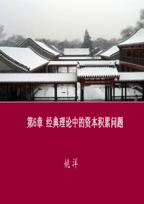 第6章发展经济学经典理论中的资本积累问题