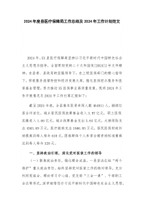 2024年度县医疗保障局工作总结及2024年工作计划范文