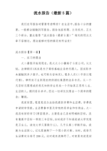 流水报告（最新5篇）