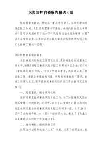 风险防控自查报告精选4篇