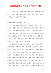 清理整顿劳动力市场秩序汇报3篇