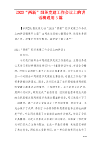 2023“两新”组织党建工作会议上的讲话稿通用3篇