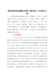 全面从严治党工作总结汇报