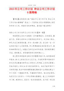 2023年公司工作计划 种业公司工作计划8篇精编