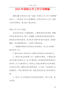 2023年保险公司工作计划精编