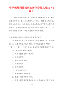 中学教师岗前培训心得体会范文总结（4篇）