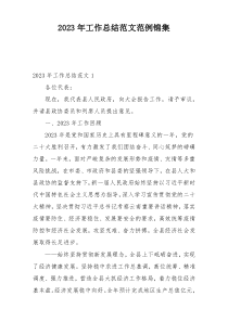 2023年工作总结范文范例锦集
