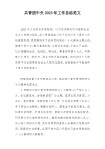 共青团中央2023年工作总结范文