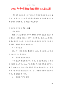 2023年专项资金自查报告12篇实用
