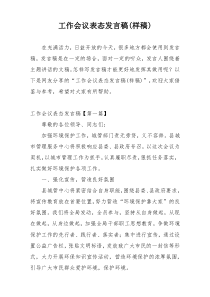 工作会议表态发言稿(样稿)