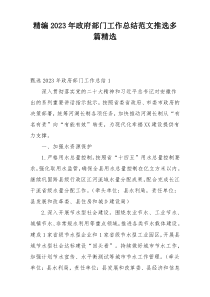 精编2023年政府部门工作总结范文推选多篇精选