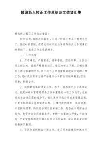 精编新人转正工作总结范文借鉴汇集