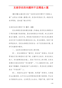 支部存在的问题和不足精选4篇