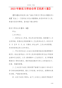 2023年新实习劳动合同【优质5篇】