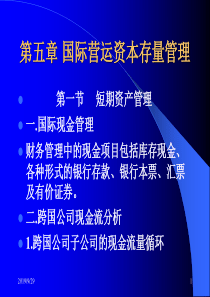 第五章国际营运资本存量