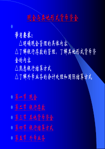 现金与其他形式货币资金