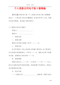 个人借款合同电子版5篇精编