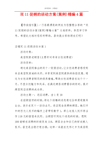 双11促销的活动方案(案例)精编4篇