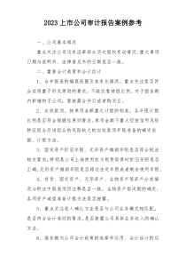 2023上市公司审计报告案例参考