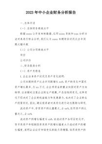 2023年中小企业财务分析报告