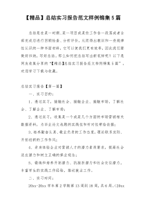 【精品】总结实习报告范文样例锦集5篇