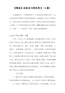 【精品】总结实习报告范文（4篇）