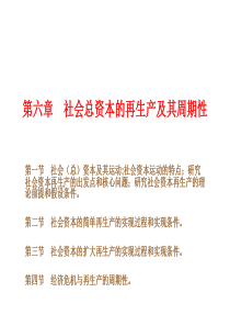 第六章社会总资本的再生产及其周期性