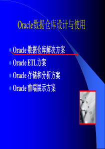 Oracle数据仓库设计与使用