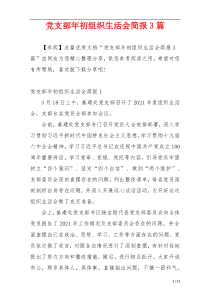 党支部年初组织生活会简报3篇