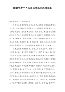 精编年度个人心得体会范文范例多篇