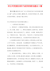 对公司党委及班子成员的意见建议3篇