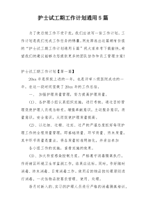 护士试工期工作计划通用5篇