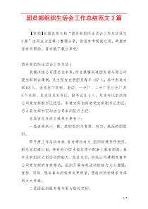团员部组织生活会工作总结范文3篇