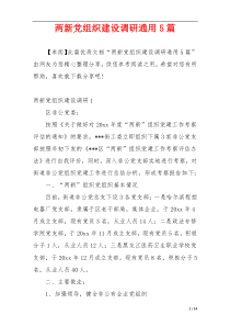两新党组织建设调研通用5篇