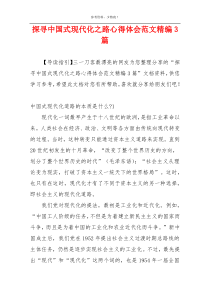 探寻中国式现代化之路心得体会范文精编3篇