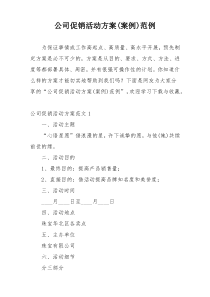 公司促销活动方案(案例)范例