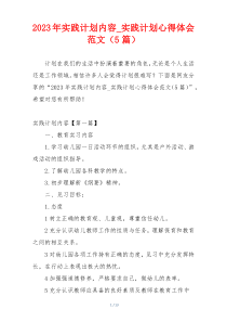 2023年实践计划内容_实践计划心得体会范文（5篇）