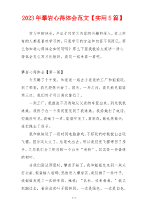 2023年攀岩心得体会范文【实用5篇】