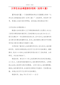 大学生社会调查报告范例（实用5篇）