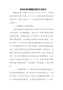 巡视反馈问题整改情况汇报范文