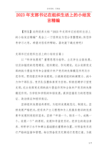 2023年支部书记在组织生活上的小结发言精编
