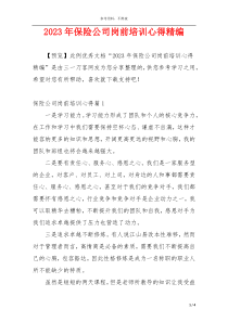 2023年保险公司岗前培训心得精编