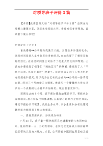 对领导班子评价3篇