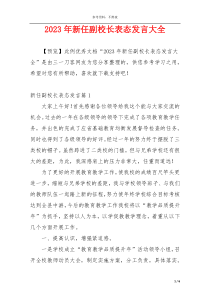 2023年新任副校长表态发言大全