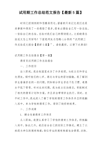 试用期工作总结范文报告【最新5篇】
