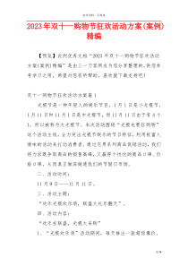 2023年双十一购物节狂欢活动方案(案例)精编