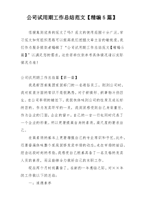 公司试用期工作总结范文【精编5篇】