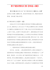 班子建设情况汇报【热选4篇】