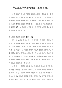 办公室工作试用期总结【实用5篇】
