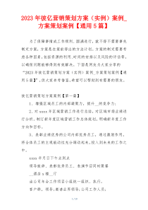 2023年彼亿营销策划方案（实例）案例_方案策划案例【通用5篇】